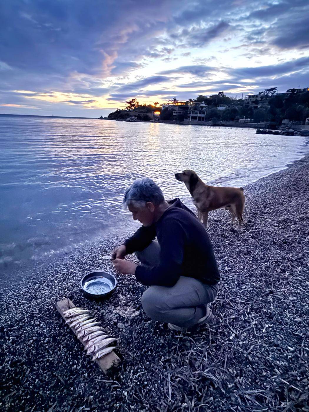 Sahilde balık temizleyen balıkçı ve köpeği